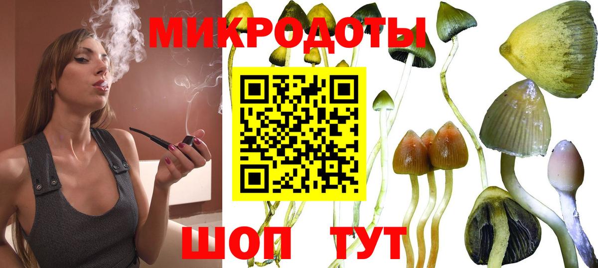 Узловая  Псилоцибиновые грибы мухоморы  Вход с VPN 